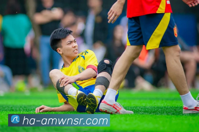 App Interface Preview